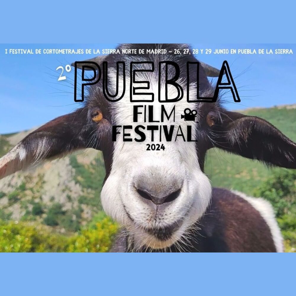 Puebla film festival