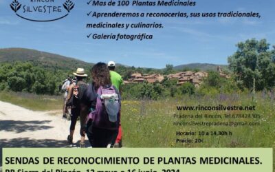 SENDAS DE RECONOCIMIENTO DE PLANTAS MEDICINALES