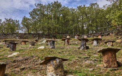 Las Experiencias que puedes realizar en la Sierra del Rincón