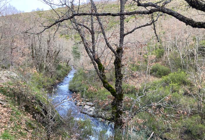 senda del río