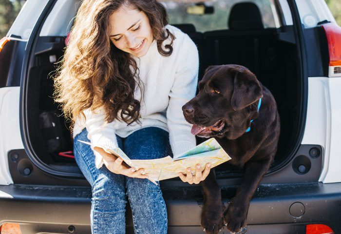 Turismo con Mascota