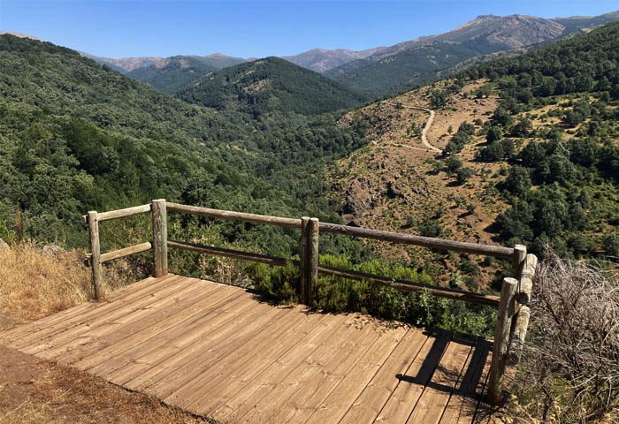 mirador del hayedo