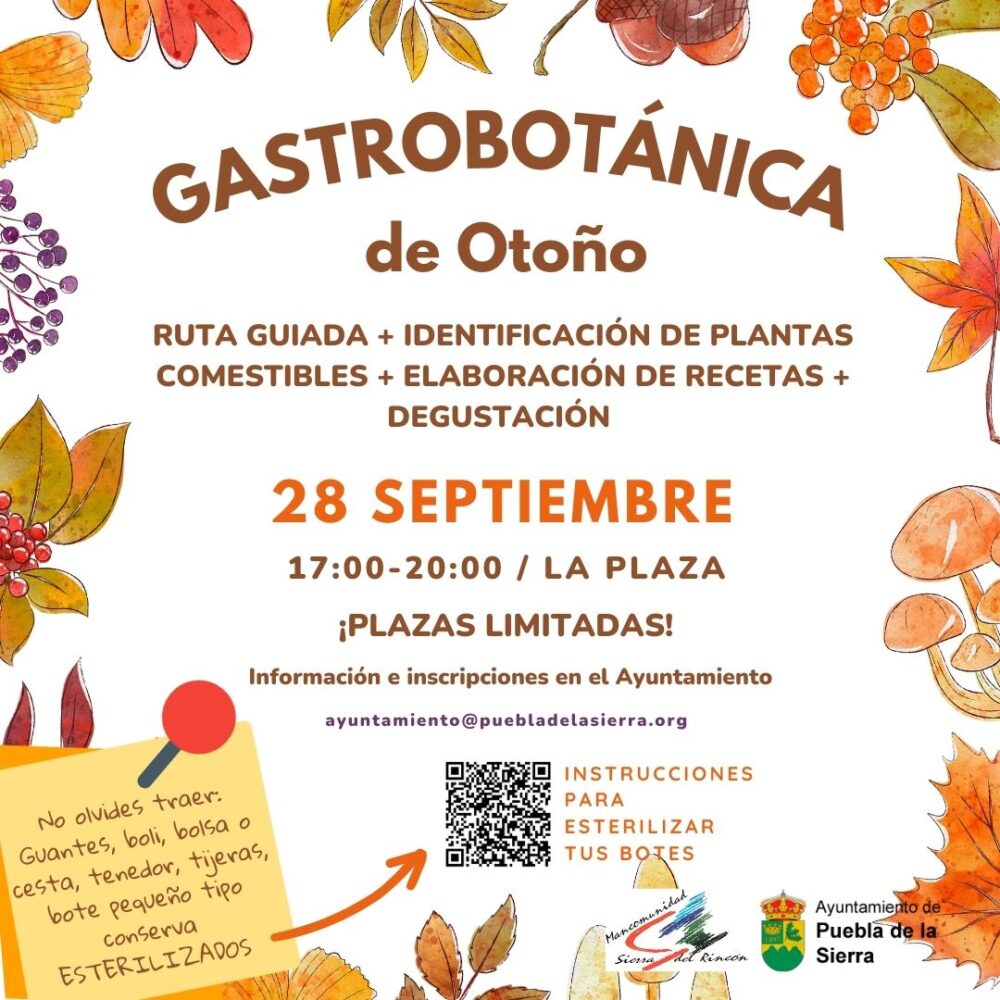 taller de gastrobotánica