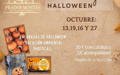 TALLER DE CALABAZAS DE HALLOWEEN