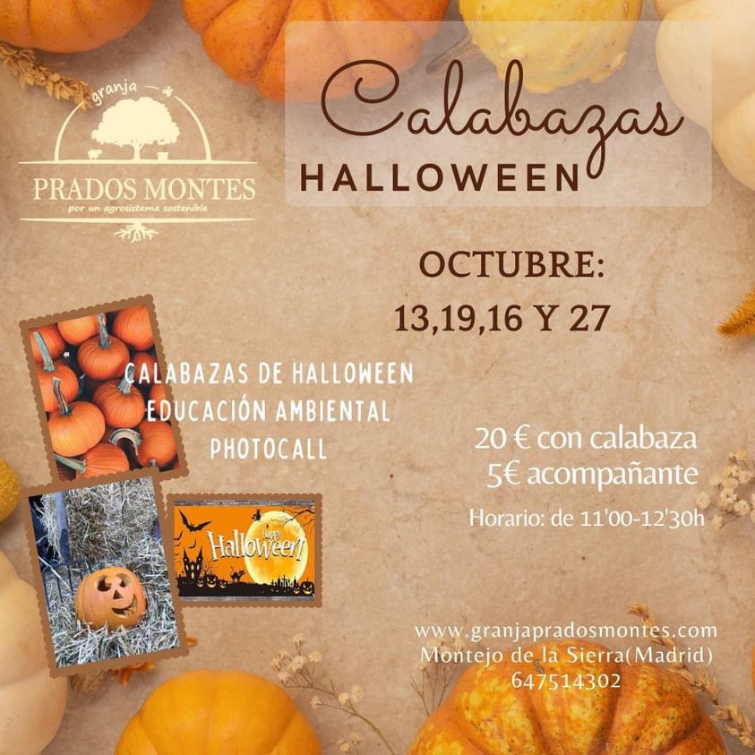 calabazas