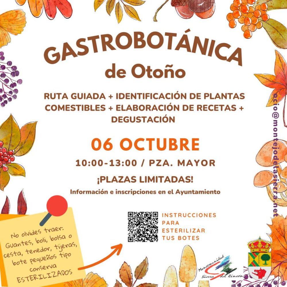 taller de gastrobotánica